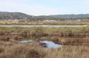 Les Salins de Hyères